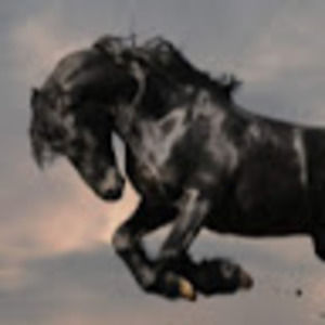 Meet your Posher, Alessi